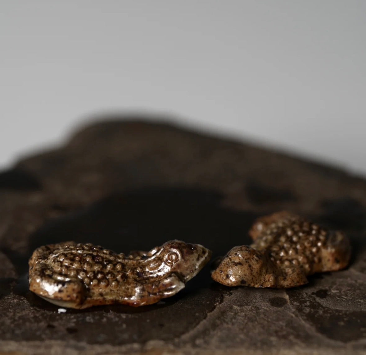 Wood-Fired Ceramic Curio · Golden Toad  by Jiang Ma Xiang – Contemporary Ceramic Art | EmberArte