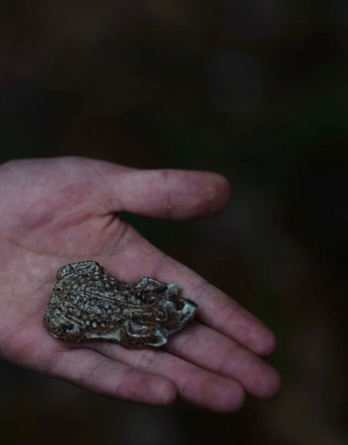 Wood-Fired Ceramic Curio · Golden Toad  by Jiang Ma Xiang – Contemporary Ceramic Art | EmberArte