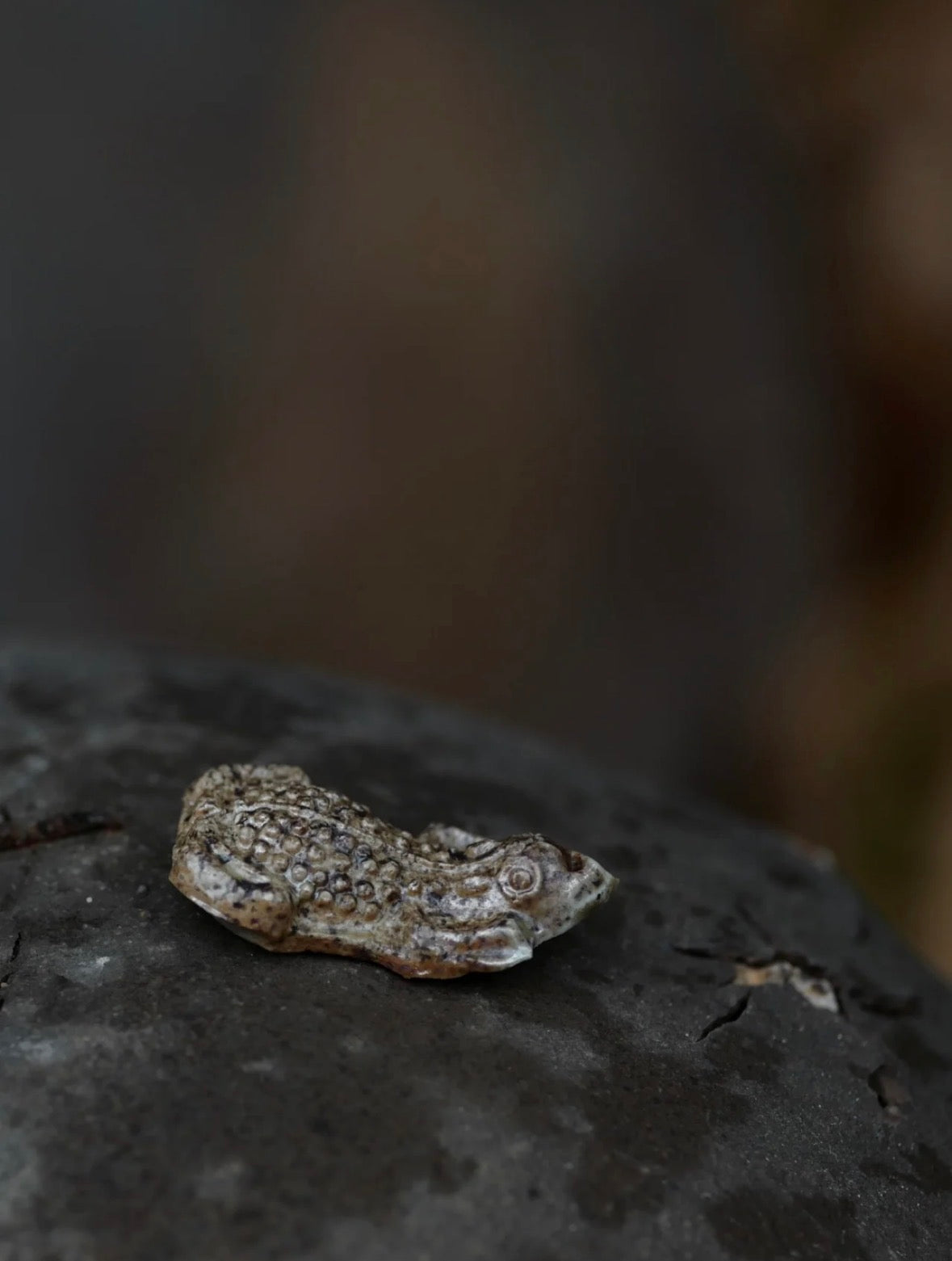Wood-Fired Ceramic Curio · Golden Toad  by Jiang Ma Xiang – Contemporary Ceramic Art | EmberArte